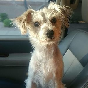 Meet your Posher, Jerome